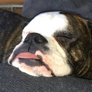 Meet your Posher, Laura